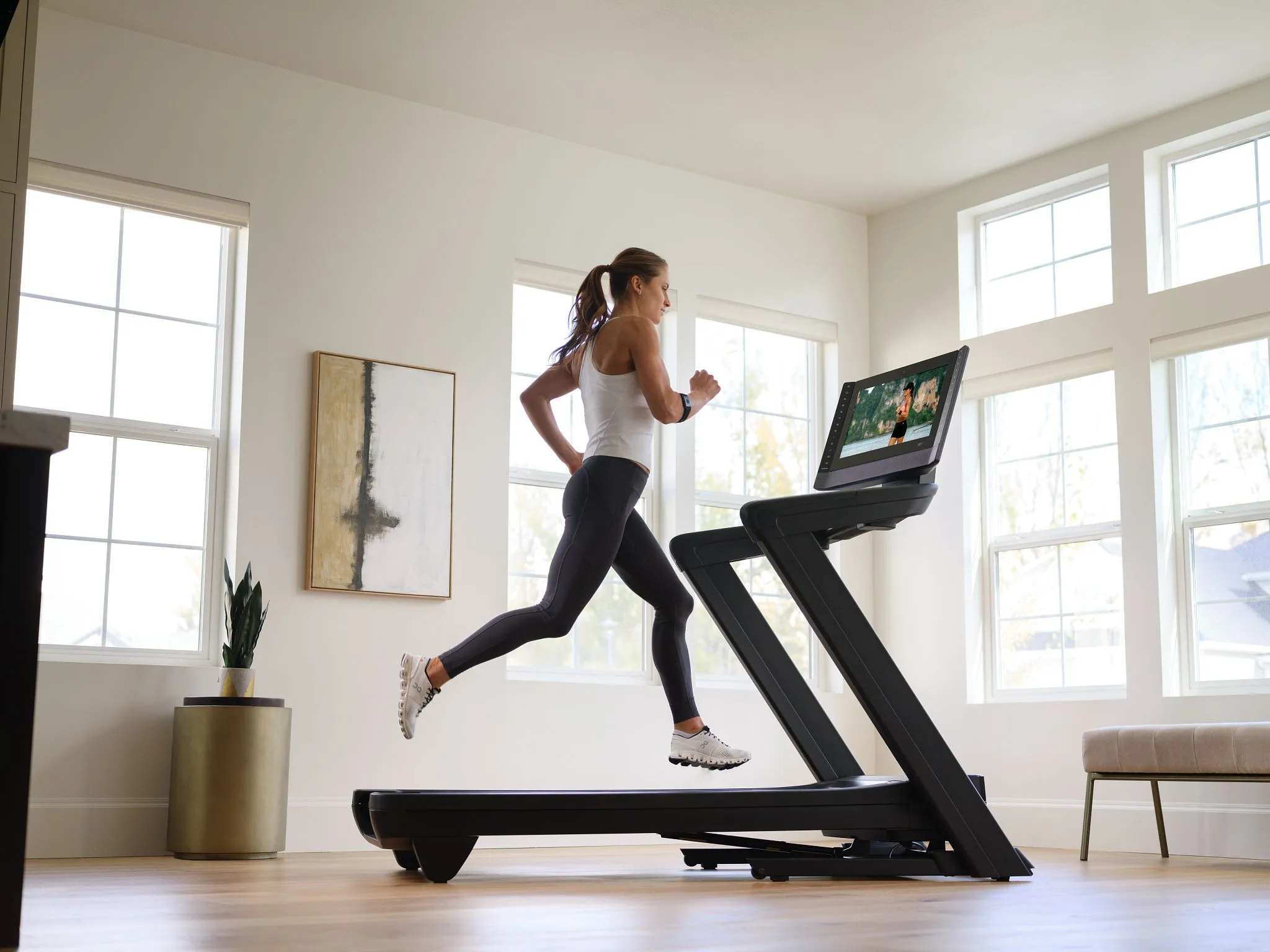 NordicTrack® Commercial 2450 Treadmill