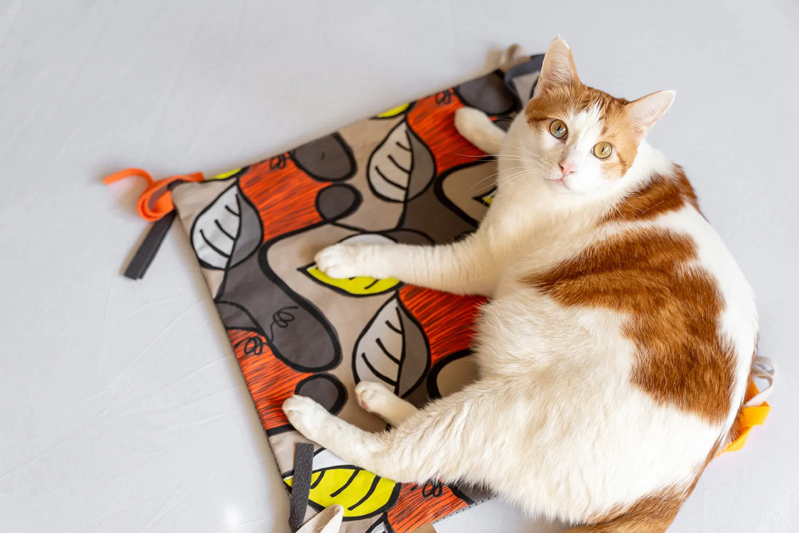 Purrfect Playtime Mat